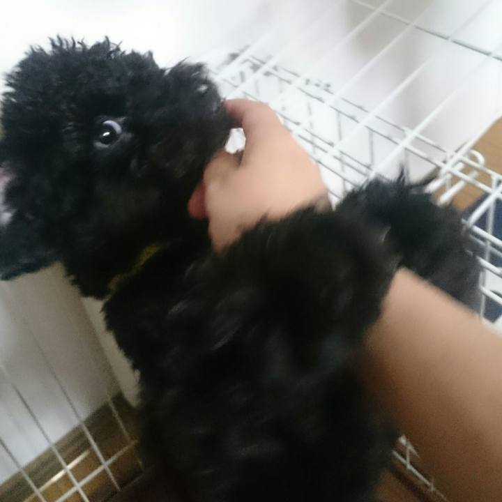 C6980d13 b574 49d8 896f f31da7f04382