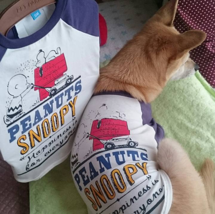 C6982e96 aabe 4705 8fca 0734976f4712