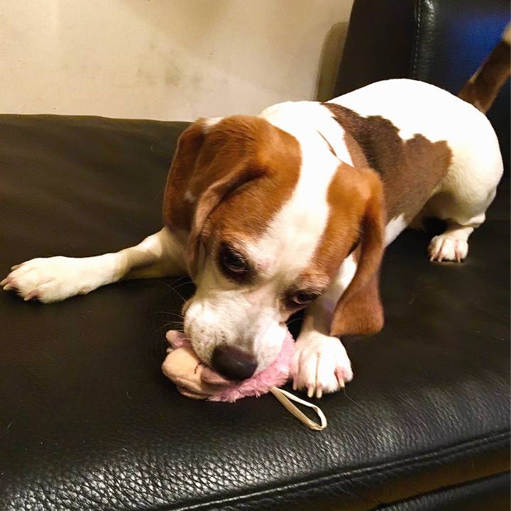 C6984a11 8428 4e03 991a 8ef451644ea8