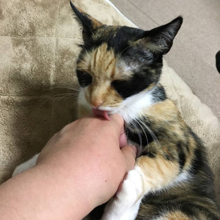 C699265b 2966 472a a0b5 8e6e5b813d91