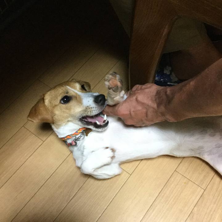 C6998c96 2d3c 4fce a16e 583a111adffc