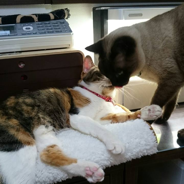 C699ac62 0b6f 43f1 b6ab 3740a0f3cb8c