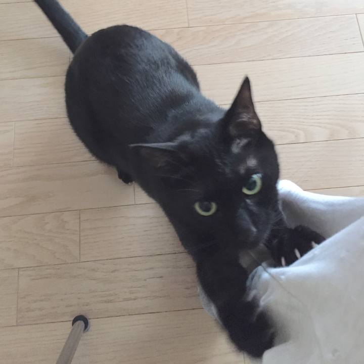 C699cff9 6a8b 4610 b4bd f93be55b9a71