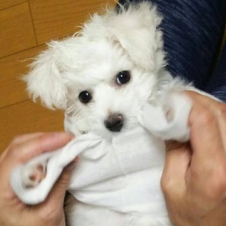 C69a13cf b9b4 4326 b912 8478224ac0d7