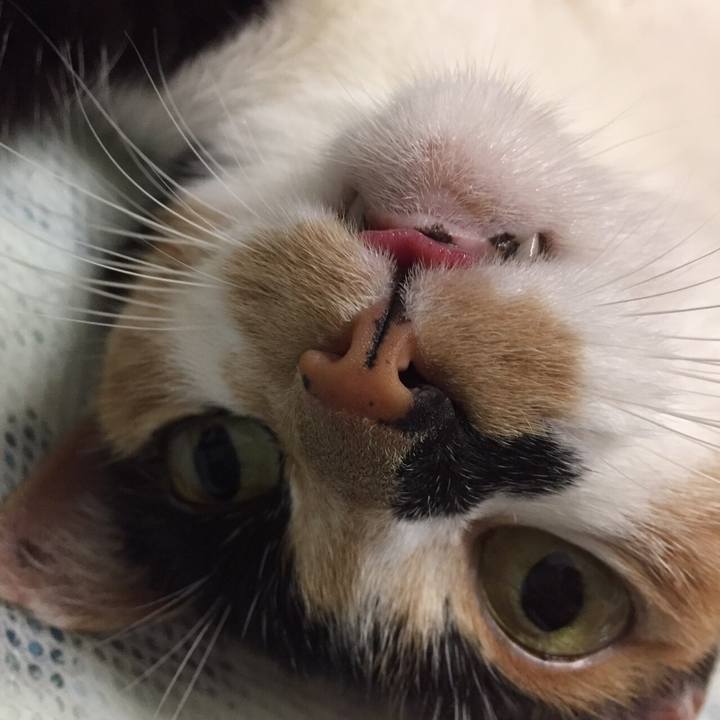 C69a4126 4cb8 444c b4fc 69dcc2d54e86