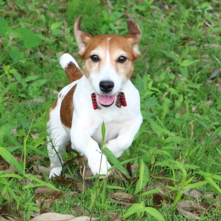 C69a56f9 9c0d 4fa4 9b99 6886f320ac92