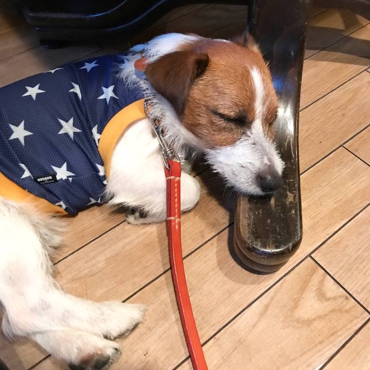 C69aefbf a276 47cf a900 f88571d5e3d3