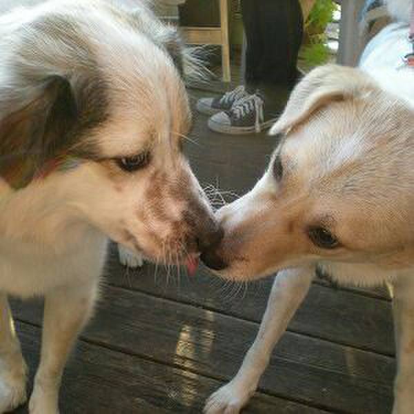 C69c1dc4 74bc 496b 8e2b 59a7f1dfd72b