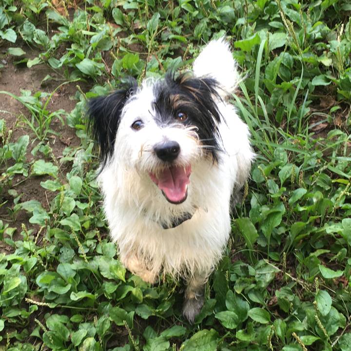 C69c4b1b acbc 4a5a bb6d c2e20907d40e