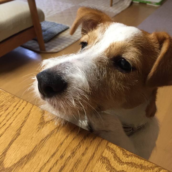 C69c50b1 0ed9 4d1b b2a7 f735b2cd4ed6