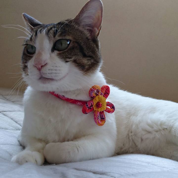 C69c817d bda9 473b 9273 31265b5c7d82