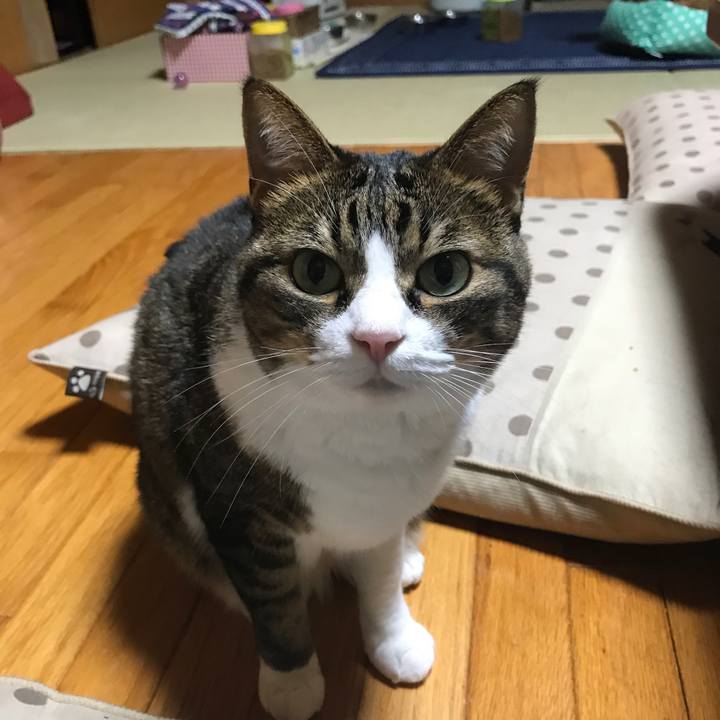 C69c9558 0fd1 4735 9aea 555f74e9e467