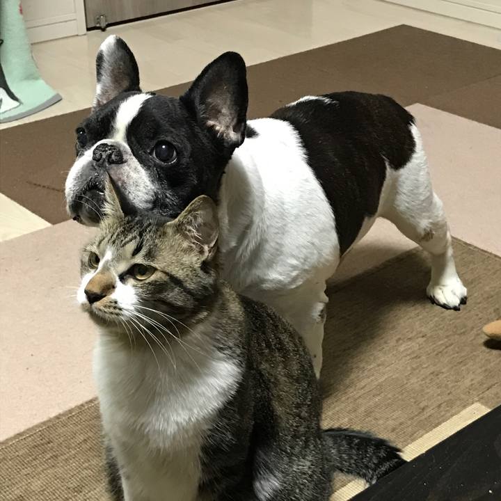 C69c96c1 7a13 46ab 8fbb 3b9859f5c394