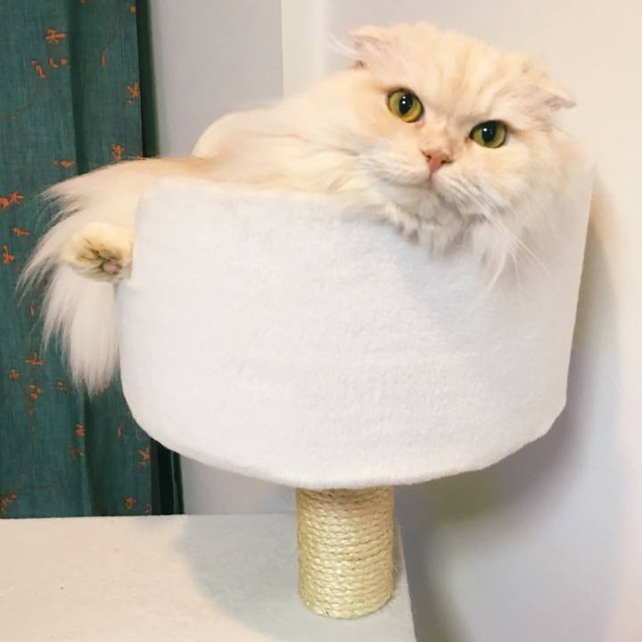 C69cea70 c8b8 402b b9b6 a08fafb409e5