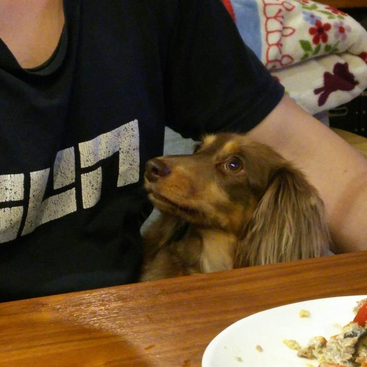 C69d2f2e e2d5 4992 8ced 18e396533485