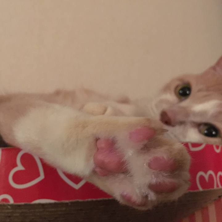 C69ddec6 82e3 427a aaac 8b7ad156c809