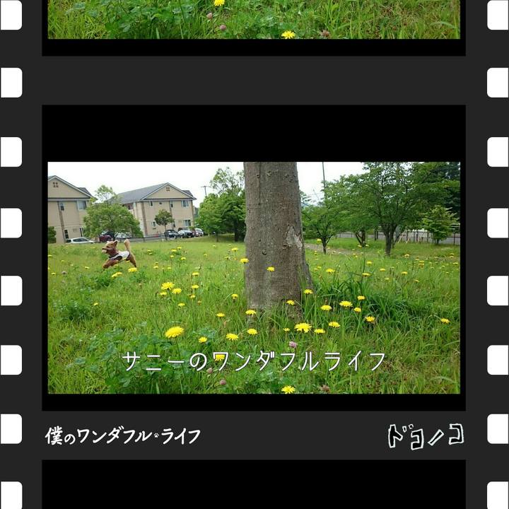 C69de42b 3f7f 47ef a204 b79db80cd731