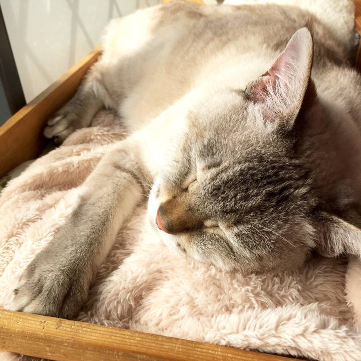 C69eb58d 8d18 4ca2 af73 67f2bef87f56