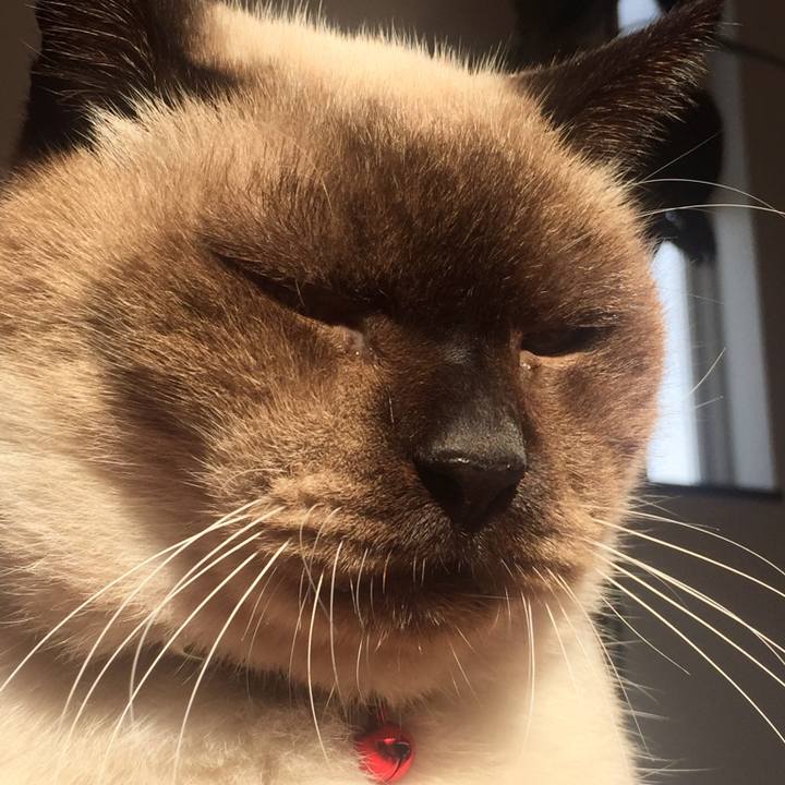 C69eb818 31ba 4b03 9490 8934a6908c18