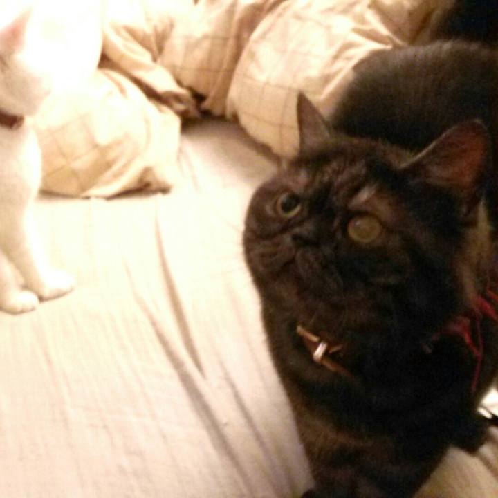 C6a066cf 374f 4a58 b5a3 1d31512475d1