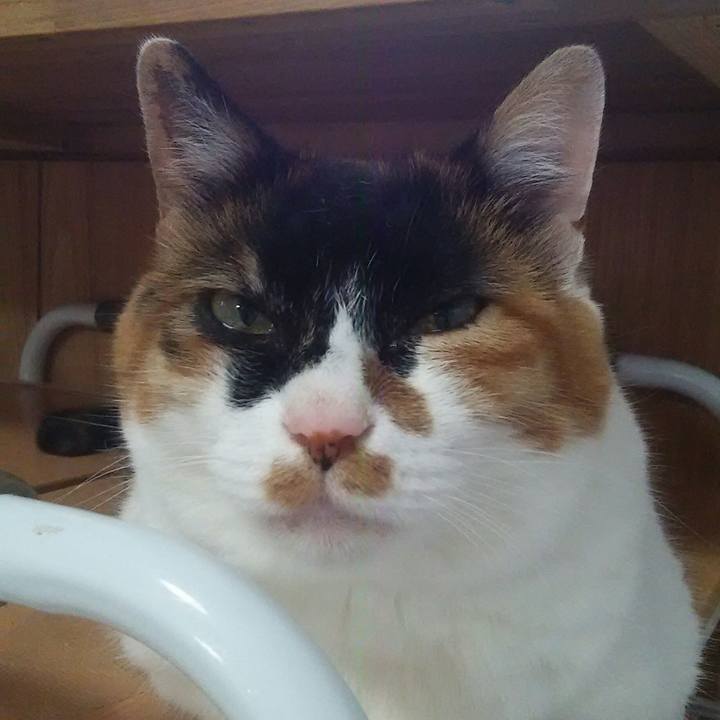 C6a0b832 56ff 4600 998e 28c86fe24a2b