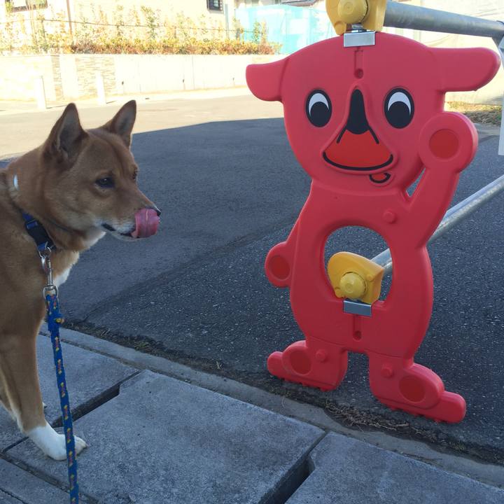 C6a1b49f 029d 4a9b ad82 21d20a9c49f3