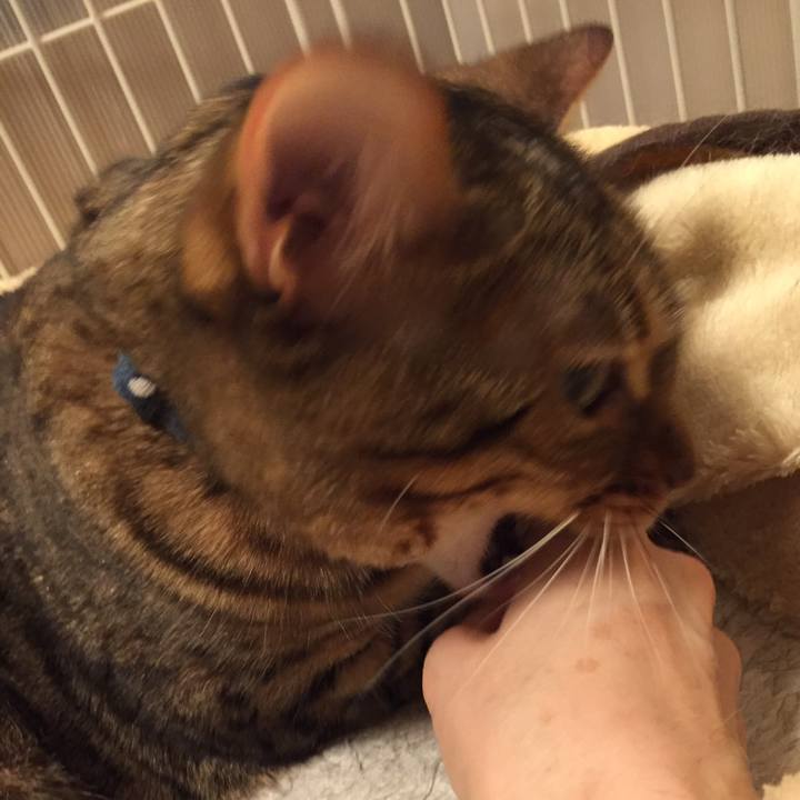 C6a1e331 3c0f 45a9 9af0 ff6248a2c9e8