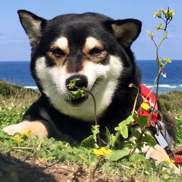 C6a1e4ca 12e8 421a 9472 f4a3a59425ec