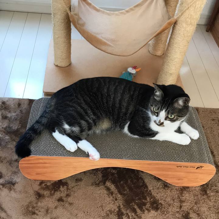 C6a2061c 6bb7 45f4 83df a0da966abe90