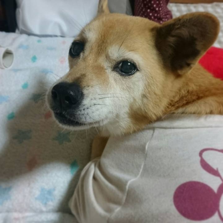 C6a26351 e7ae 4d32 8423 c0a38278fbd2