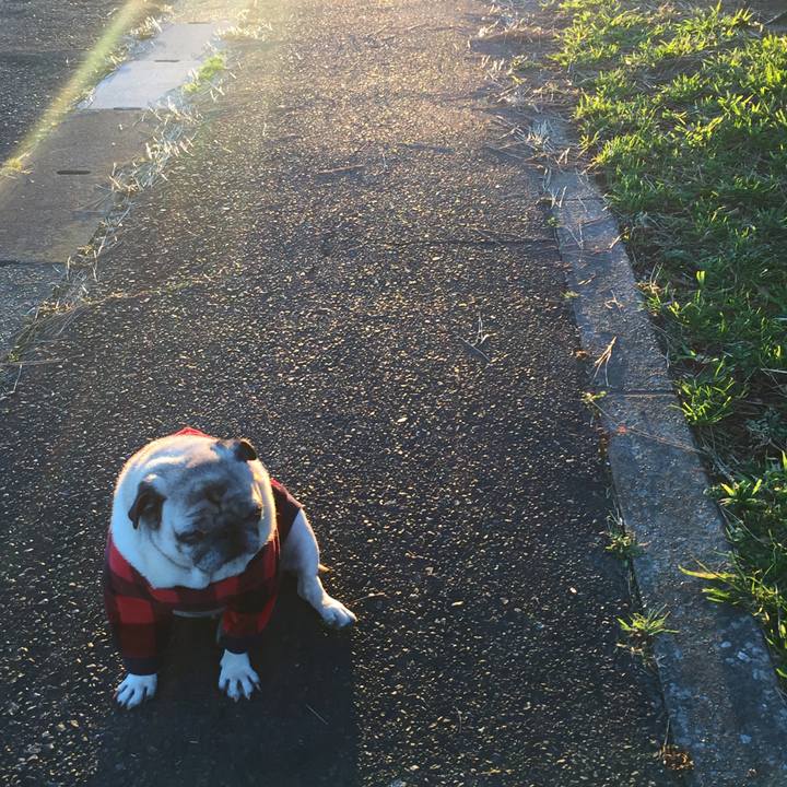 C6a2788f f44f 446e 85bf 86de95fc2500