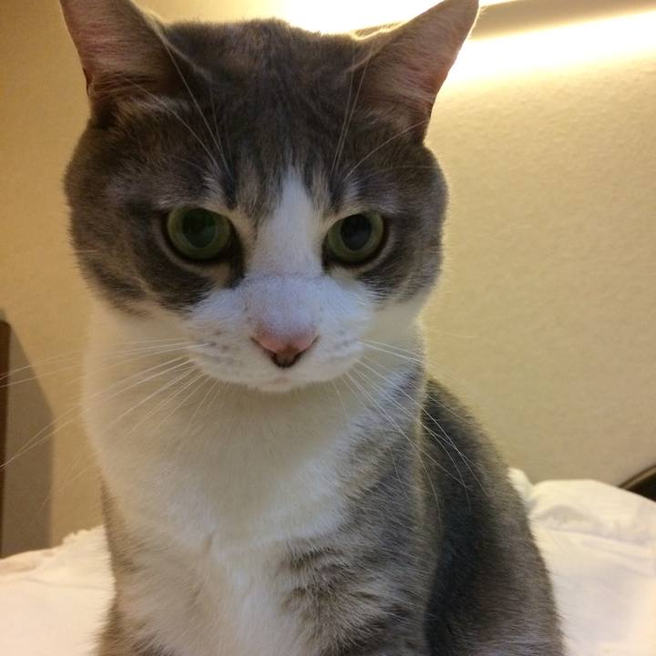 C6a2d9c4 c623 4657 9e5b f7991aab5add