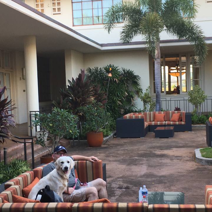 C6a310ed 09fe 4dd2 8cfb f44b307a2396