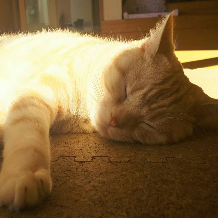 C6a31abe b2f6 49c8 b7a3 67ed771c768e