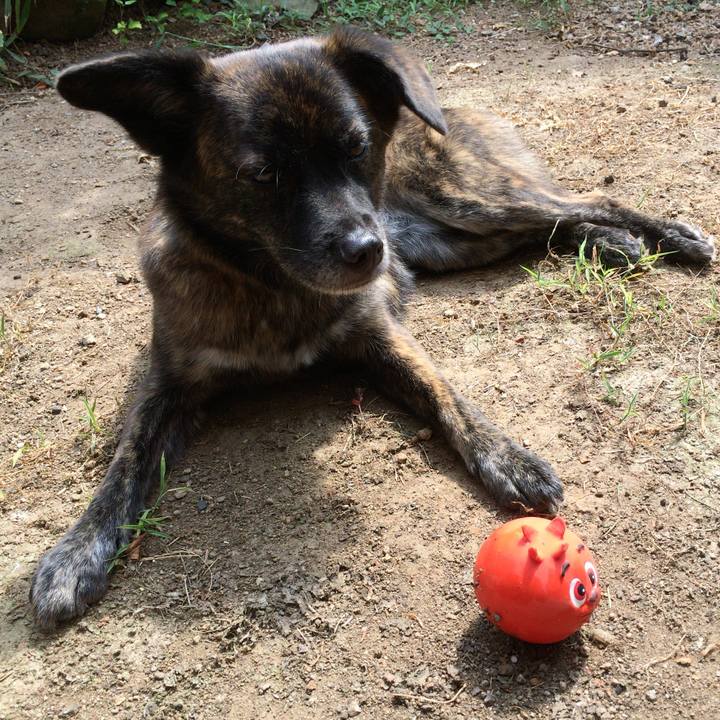 C6a32c5a 3e64 4a46 bfca 66c8ee565a62