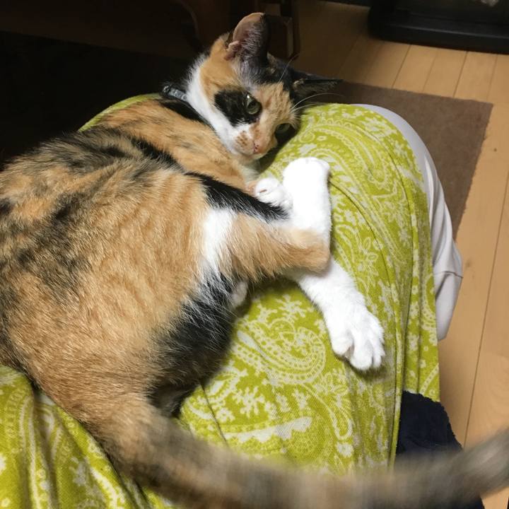 C6a420c5 d2a2 4a0e 8c6a 275c81059a9b