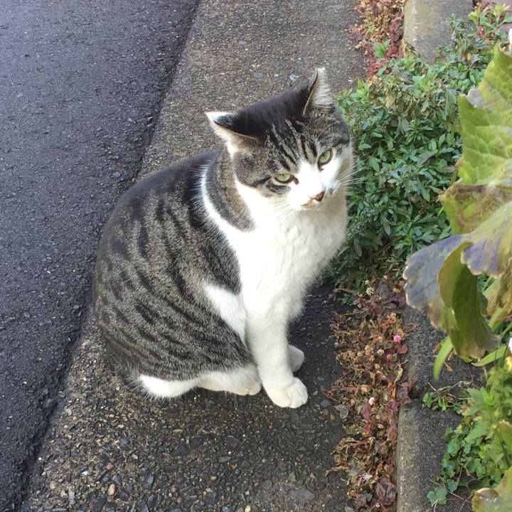 C6a43faf 9677 496e b263 31b2c7dec7e1