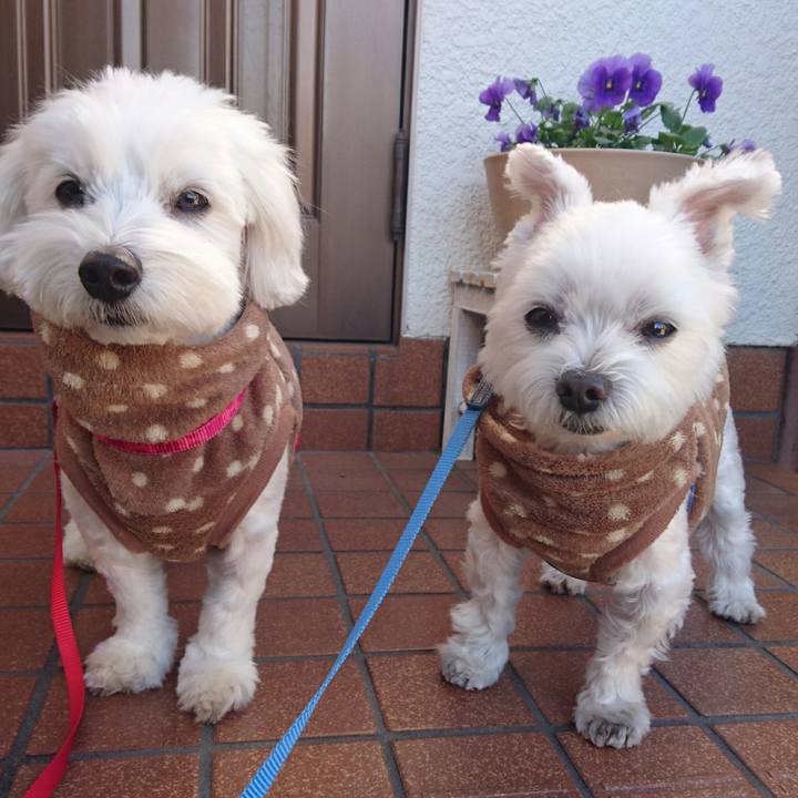 C6a4ab20 1fae 4133 9e98 6998ebdadbb1