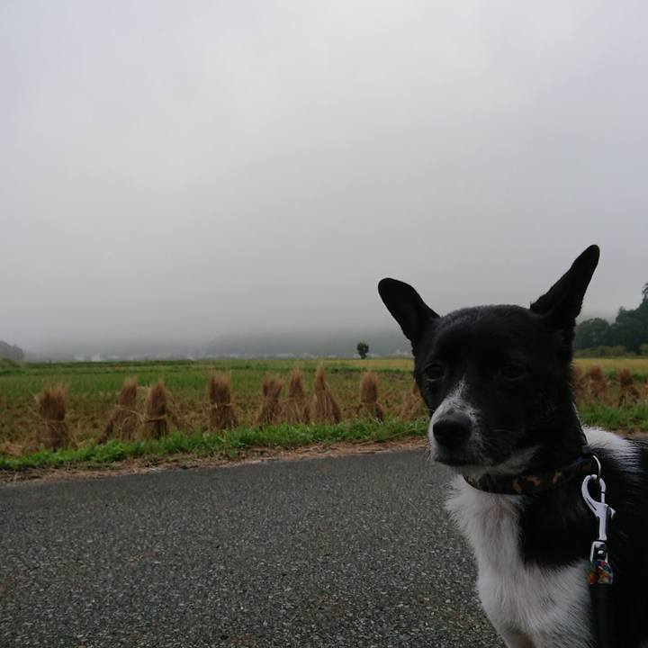 C6a5bc5d ec56 4dd5 b6ec e475600926f2