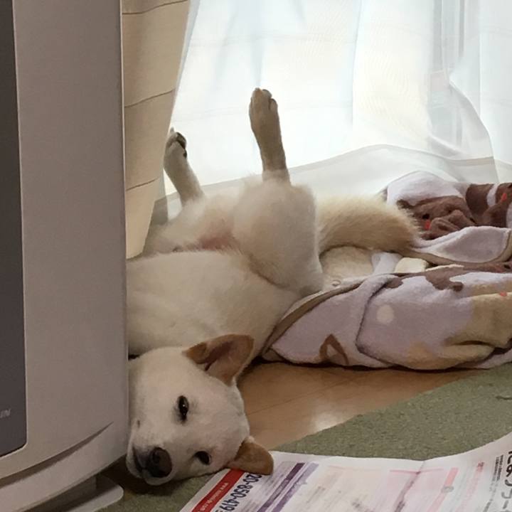 C6a66e74 cd61 4d46 84ef af1e29aa1378