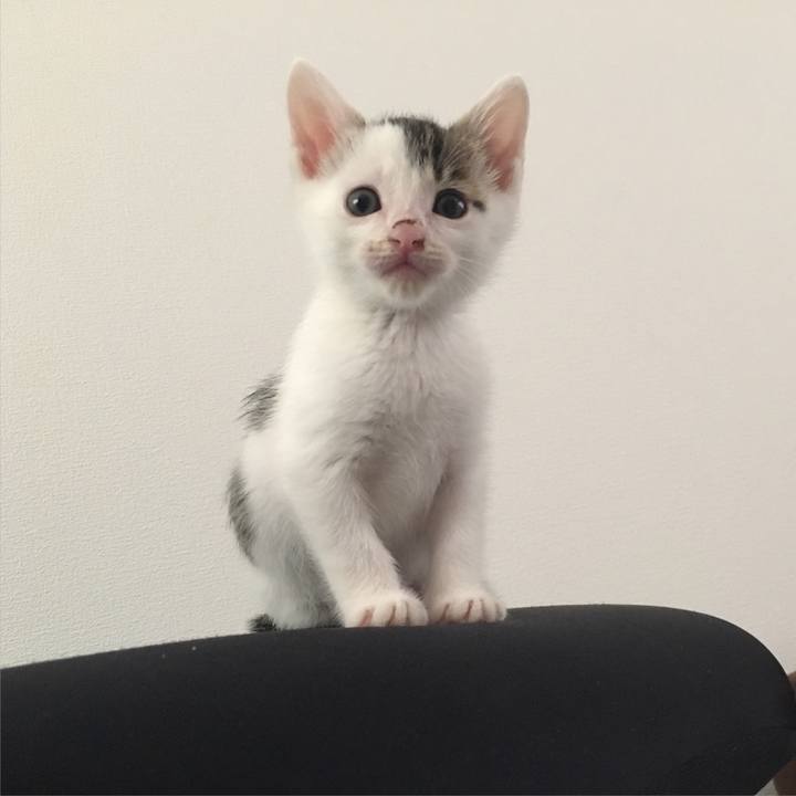 C6a69520 b9e4 484b 981e 539858fb01cb