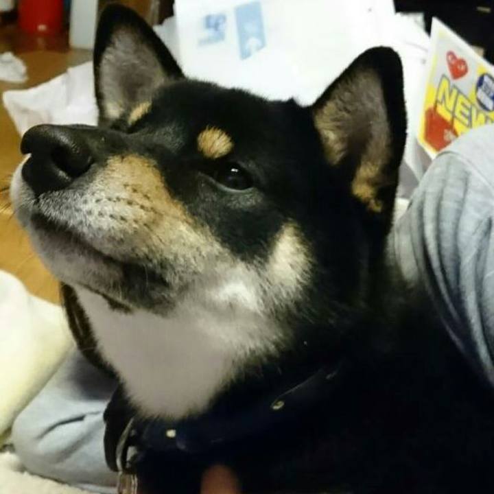 C6a6af6f 2d6a 47ea be94 d092ebb7ab4b