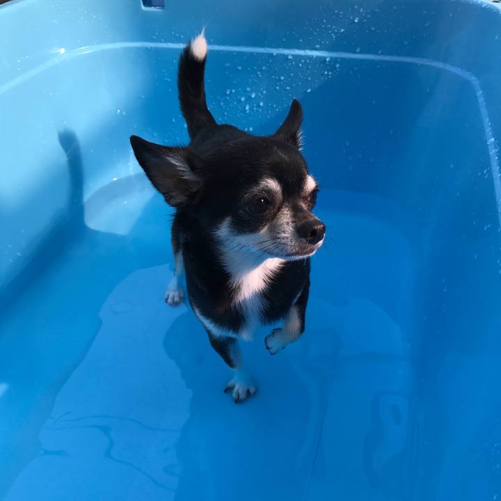 C6a6f91a b659 4760 bb75 f68dbbe1bc32