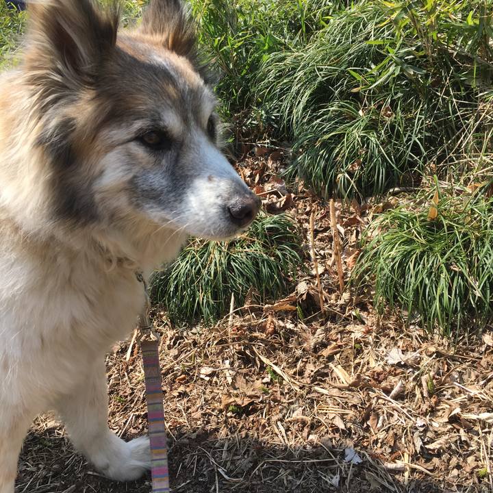 C6a7057d 6fae 46ca a946 bf6b9583b096