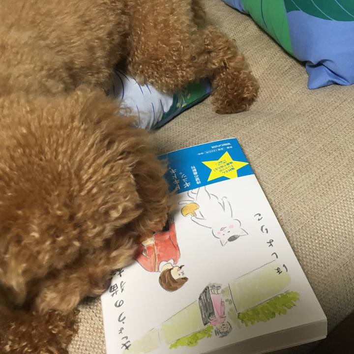 C6a83607 5522 48ec ab41 389b1b018c00