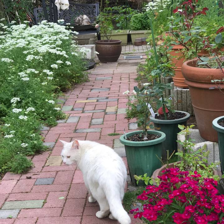 C6a84010 e07d 4a7f ab82 9ba5c2cc163d