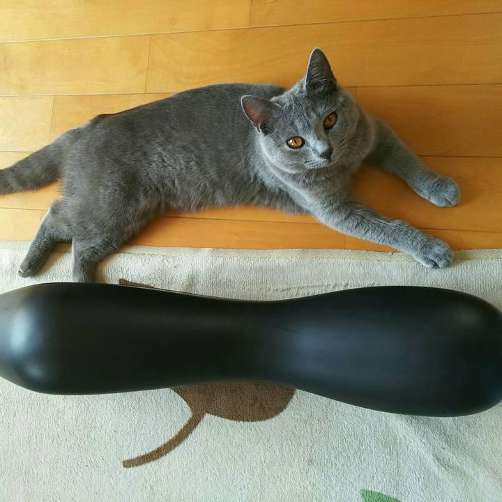 C6a859c1 5692 4adc aa7f ebdd89c57eec