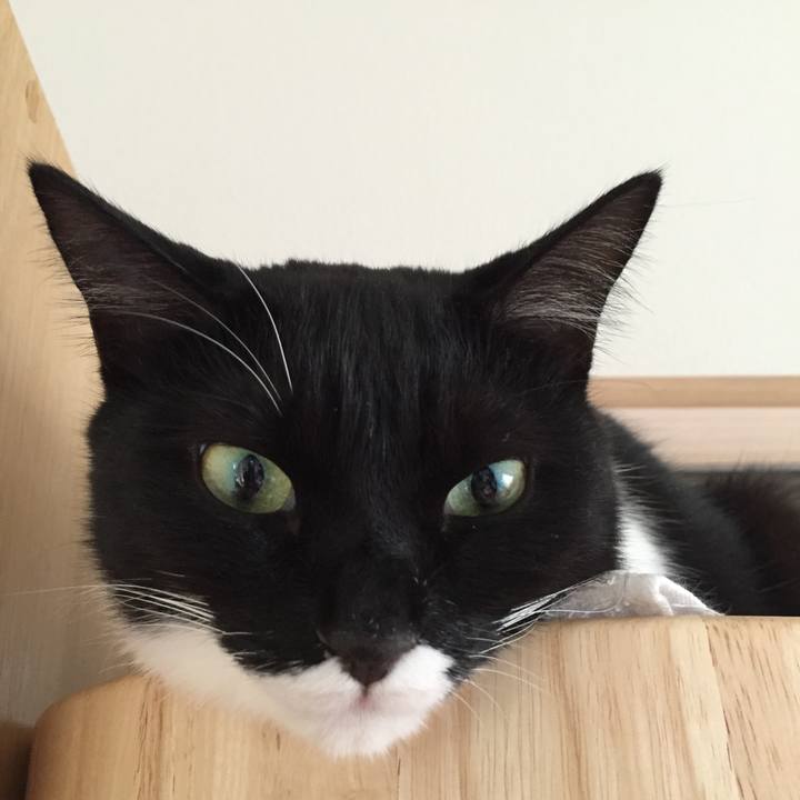 C6a873d6 d340 4c8c a9f4 49457f8694ef