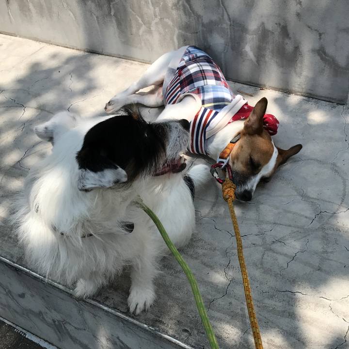 C6a8781a b9df 4b45 af50 c5e7354a429d