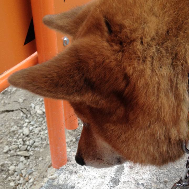 C6a94cea 15a6 43f9 86c1 35c46199e2bf